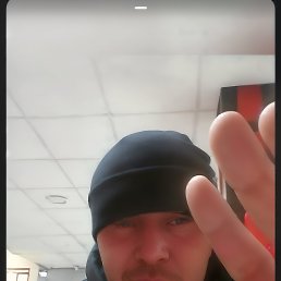 , 33, 