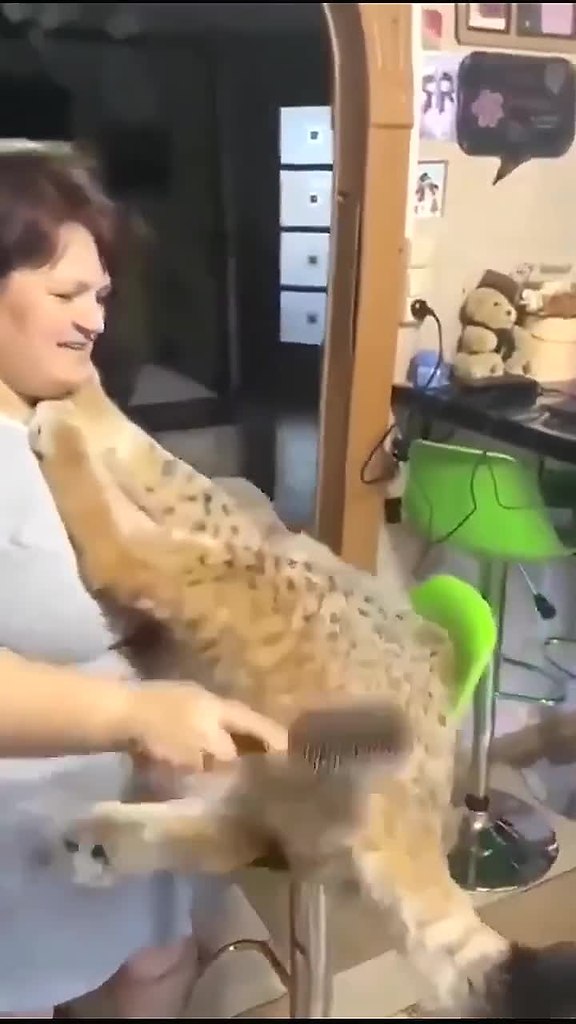 � ������� ������ ����� � ����.. - 2