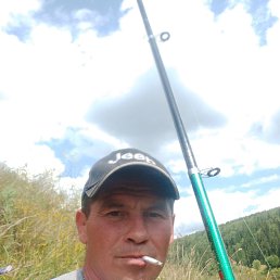 , 37, 