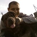 ���� ���������, ����, 50 ��� - ��������� 8 ������� 2026 � ������ ���� ����������