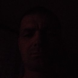 �������, �����, 36 ���