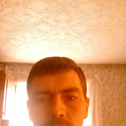 , 42, 