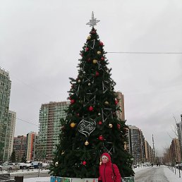 ����, �����-���������, 58 ���