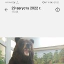 ���� �����, �������������, 43 ���� - ��������� 11 ������ 2024