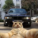 ���� �����, �������, 33 ���� - ��������� 28 ������ 2023 � ������ ���� ����������