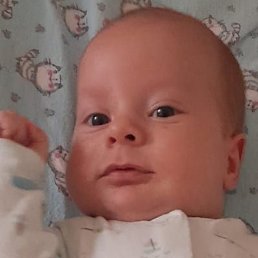 ������, ��������, 60 ���