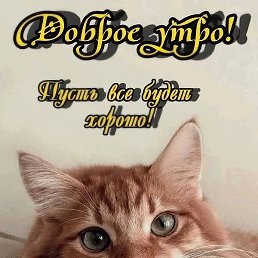 ��������, ������, 62 ����
