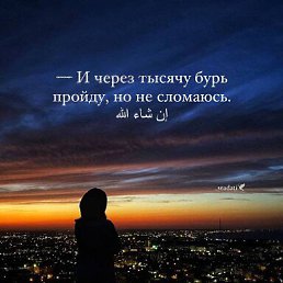 ���� Z, ���������, 45 ��� - ��������� 3 ��� 2026