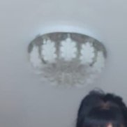 ���, 42 ����, ���������