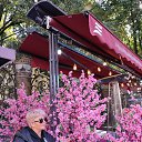 ���� �����, �����������, 54 ���� - ��������� 27 ������ 2023 � ������ ���� ����������