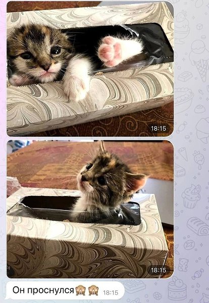  :3 - 2