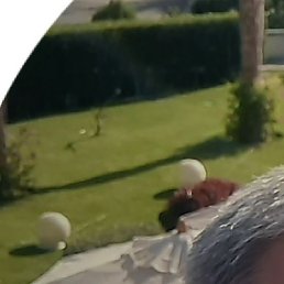 ������, ������, 55 ���