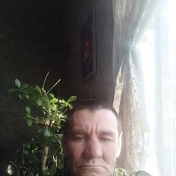 , 48 , 