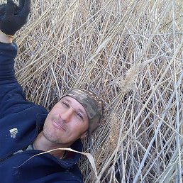 Kostia, ������, 43 ����