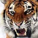 ���� V, ������, 29 ��� - ��������� 2 ������ 2024 � ������ ���� ����������