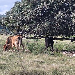 ���� �����, ������, 60 ��� - ��������� 5 ������ 2024