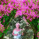 ���� Lida, �����, 66 ��� - ��������� 16 ������ 2025