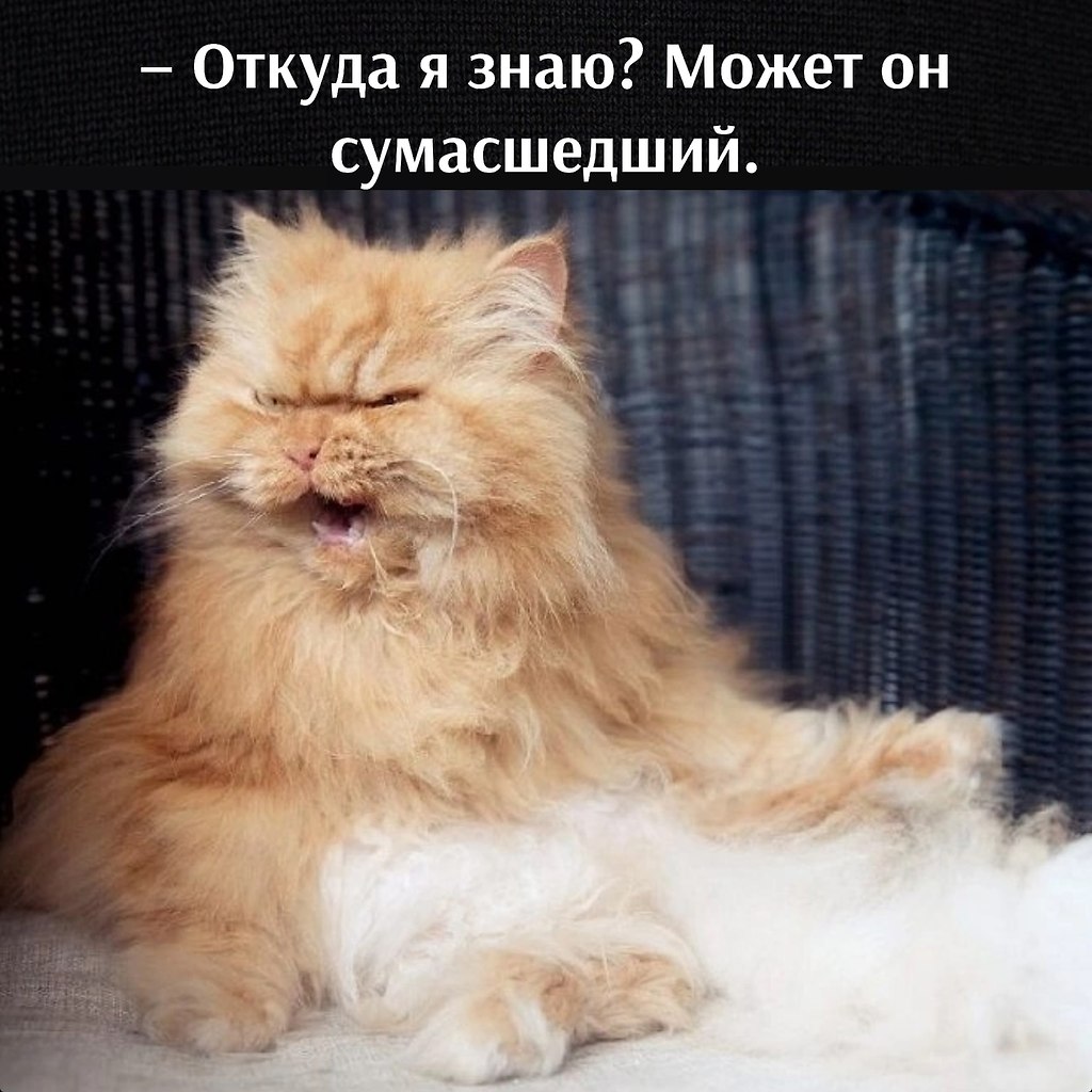       - 21  2025  17:00 - 4