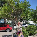 ���� �����, �����-���������, 52 ���� - ��������� 23 ���� 2026