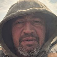 , 43 , 