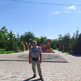 , 54, 