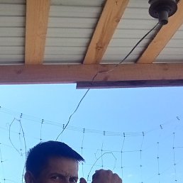 �������, �����, 35 ���