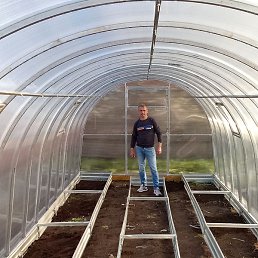 �����, ������, 43 ����