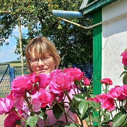 ���� ���������, �����������������, 52 ���� - ��������� 1 ������ 2024