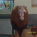 ���� ��������, ����, 45 ��� - ��������� 14 ������� 2025