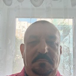 , 65, 