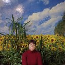 ���� �������, ����������, 44 ���� - ��������� 3 ���� 2024 � ������ ���� ����������