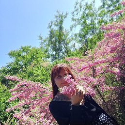 , 32, 