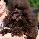 ���� �������, ���������, 54 ���� - ��������� 23 ��� 2024 � ������ ���� ����������