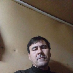 , 42, 