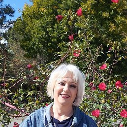, 57, 