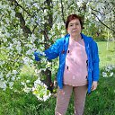 ���� ����, ������, 56 ��� - ��������� 17 ������� 2026 � ������ ���� ����������