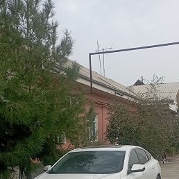 ���� ��������, �����-���������, 38 ��� - ��������� 24 ������� 2023