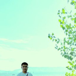 , 35, 