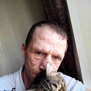 , 45 , 