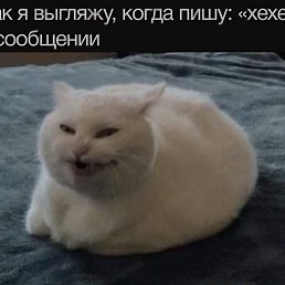 ������, ������ ��������, 25 ���
