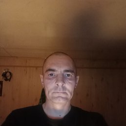 ������, 39 ���, ������