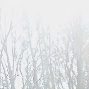 ������, 33 ����, ��������