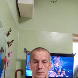 , 61, 