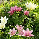 ���� ������, ����, 68 ��� - ��������� 14 �������� 2024 � ������ ���� ����������