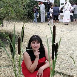 , 38 , 