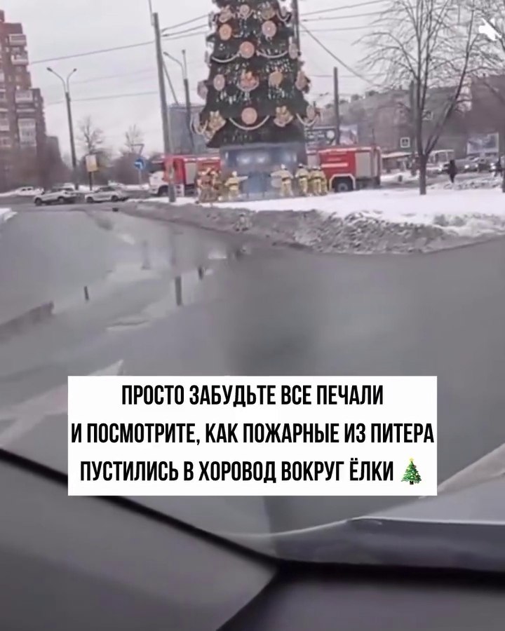 � ������ ������ ������