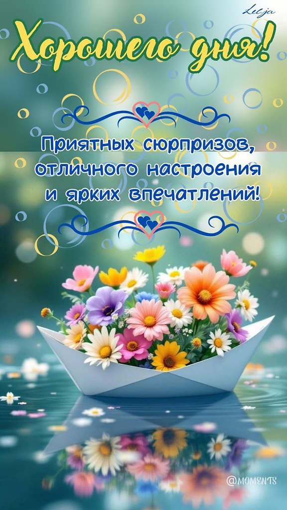   ,    . - 19  2025  13:15 - 3