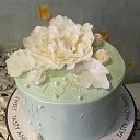 ���� �������, ����� - ��������� 22 ������ 2026 � ������ ��� �����)))�