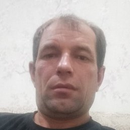 ����, ������, 44 ����