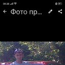 ���� ������ ��������, ������, 46 ��� - ��������� 1 ������ 2025 � ������ ���� ����������